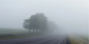 Волинь накриє густий туман: видимість впаде до 200 метрів