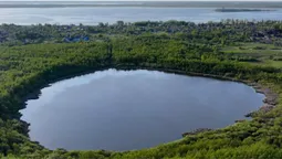 У Світязя є водойма-супутник, про яку мало хто знає