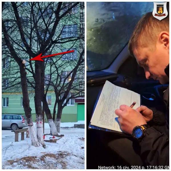 Муніципали покарали лучан, які «здійснили знищення гілки» (фото)