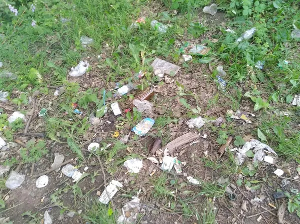 У Луцьку ботанічну пам'ятку природи перетворили на смітник (фото)
