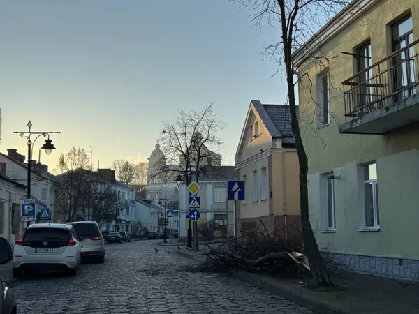 У Старому місті Луцька впало дерево і перегородило прохід (фото)