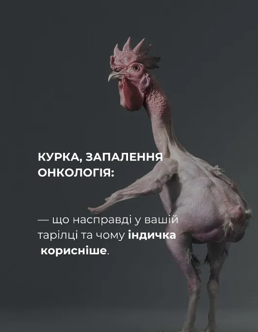Онкологи б'ють на сполох: м'ясо якої птиці краще не їсти