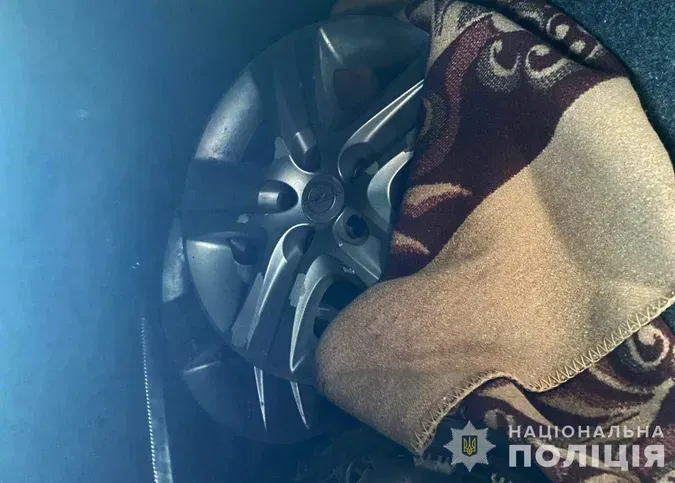 У Луцьку покарали тренера із плавання, який крав автомобільні ковпаки
