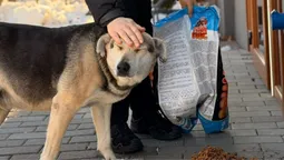 Смаколики замість штрафів: вулицями Луцька пройшов зворушливий рейд