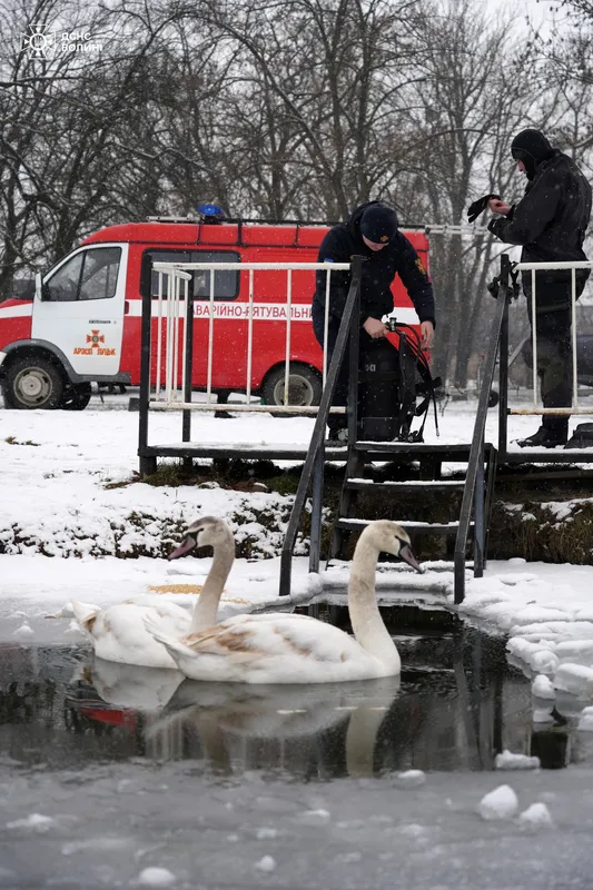 У Луцьку до рибалок на Теремнівських ставках завітали водолази (фото)