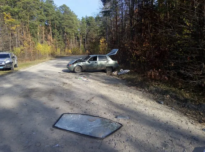 На Волині автомобіль злетів у кювет і перевернувся (фото)