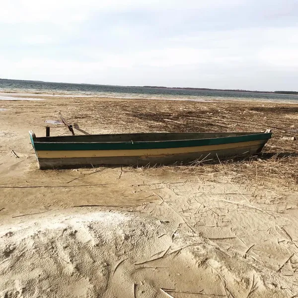 Як Аральське море: свіжі фото Світязю, які шокують