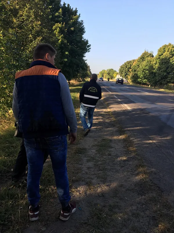На Волині водій «BMW» влетів у дерево на узбіччі (фото)