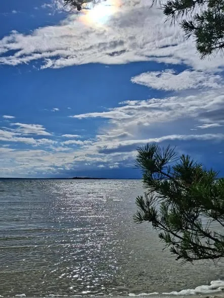 Світязь вразив незвичним видовищем: вода в озері стала схожою на рідке срібло (фото)