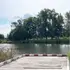 5-кілограмові коропи та спокій: чим приваблює озеро Татарка на Волині (фото)