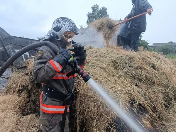 На Волині через влучання блискавки спалахнула пожежа (фото)