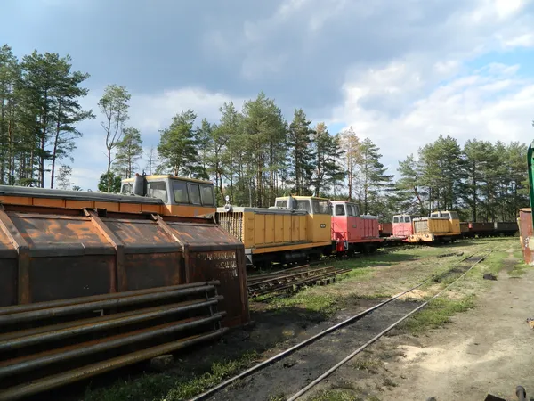 На «Волиньторфі» шукають порушення