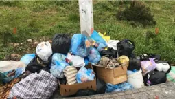 Лучани скидають сміття просто під замком: чому так роблять (фото)