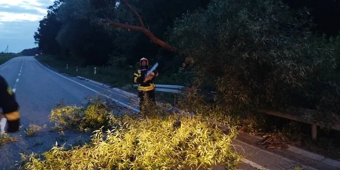 На Волині біля озера Лісне дерево впало на дорогу (фото)