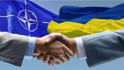 Харків'янин запропонував НАТО свою земельну ділянку для розміщення бази Альянсу (фото)