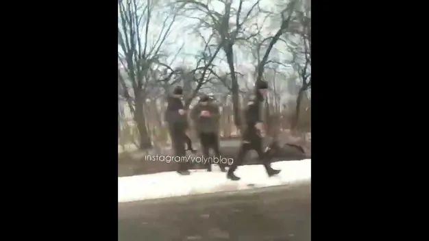 Між Шацьком і Любомлем легковик злетів у кювет (відео)