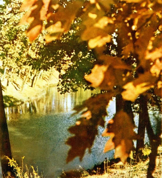Волинська природа