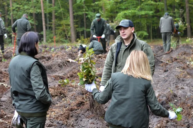 Мільйон дерев за добу: по всій Волині лісівники й волонтери долучилися до акції (фото)