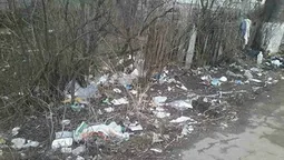 Муніципали перевірили Луцьк на чистоту (фото)