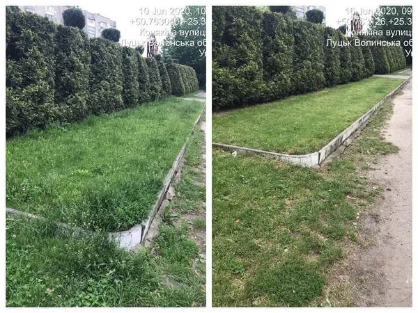 Не вище 15 сантиметрів: лучан змусили скосити траву (фото)