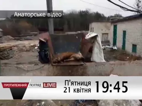 Ковельський ветсанзавод: екологічна катастрофа