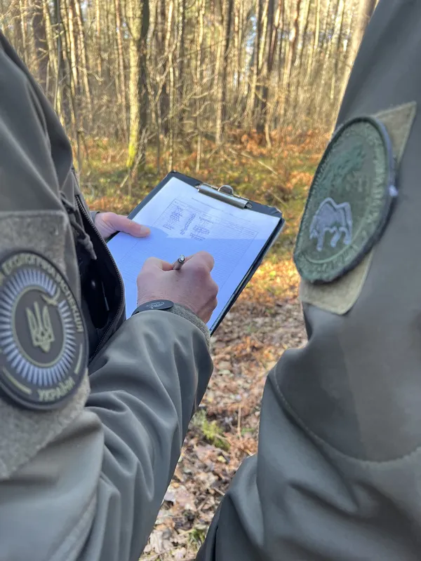 У нацпарку на Волині помітили масову незаконну вирубку лісу