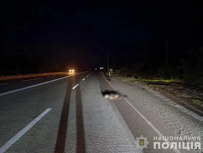 На Запоріжжі пікап переїхав військового – водій втік, його шукають (фото)