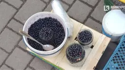 Скільки коштують перші чорниці на луцьких ринках
