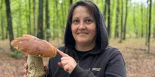 «Ліс порадував»: на Волині грибниця натрапила на величезні боровики (фото)