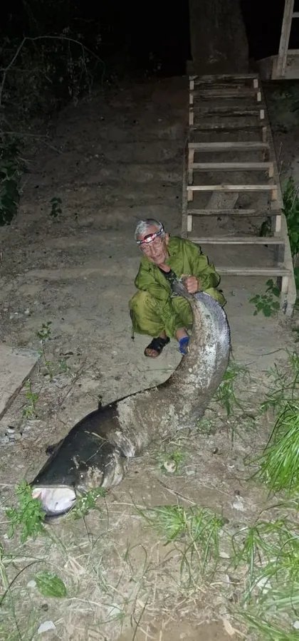 На Рівненщині упіймали гігантського сома (фото)