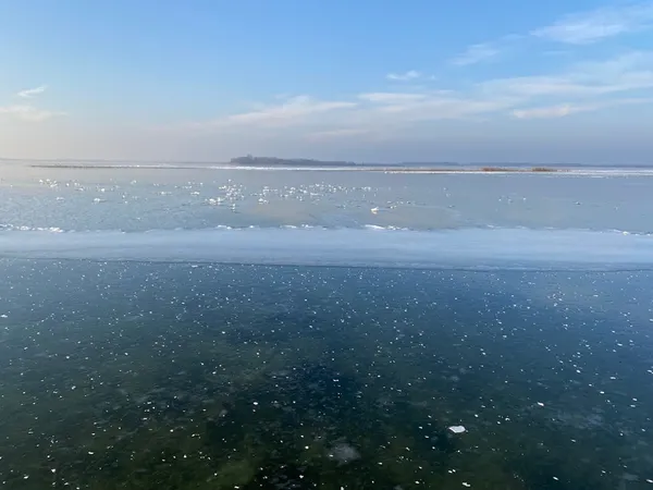 На Світязі крига «ув'язнила» майже тисячу птахів (фото)