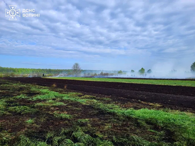 На Волині горіли суха трава і торф (фото)