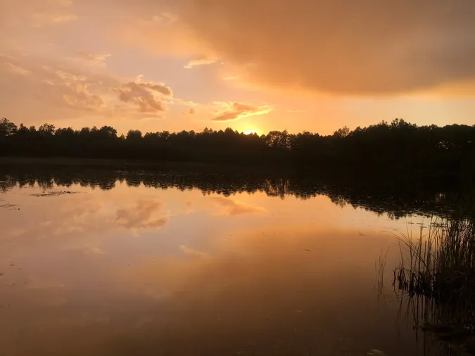 На Волині є унікальне крихітне озеро з золотистою водою (фото)