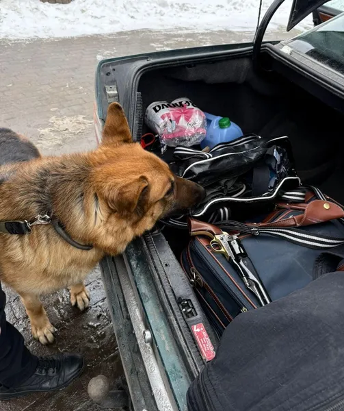 Передачка з Італії: на кордоні з Польщею в чоловіка знайшли пожиттєвий запас презервативів (фото)
