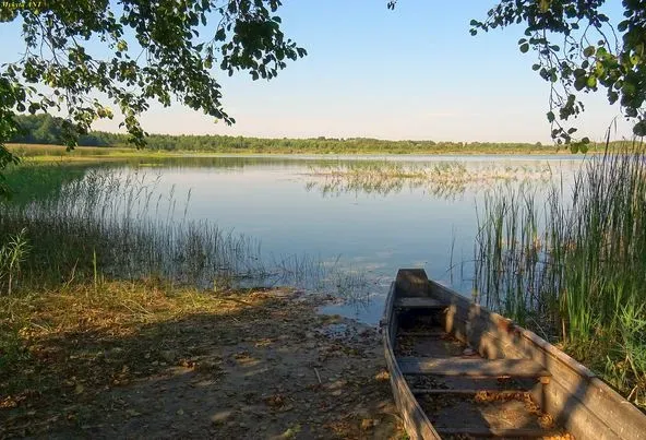 Назвали озеро на Волині, де клює «хижак» – щука, окунь та сом (відео)