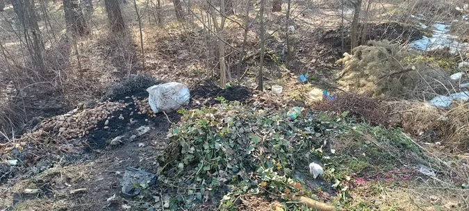 Жителі б’ють на сполох: у Маневичах ліс закидають сміттям (фото)