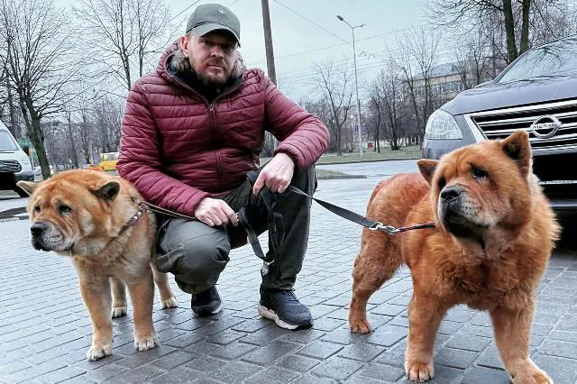 Лучанин Сашко Положинський особисто привіз для ЗСУ 20 автівок