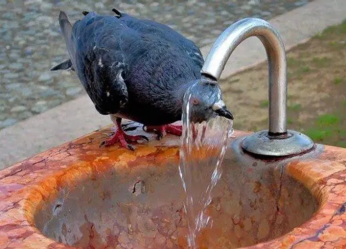 Україну накриє спека до +37°: де буде найгарячіше