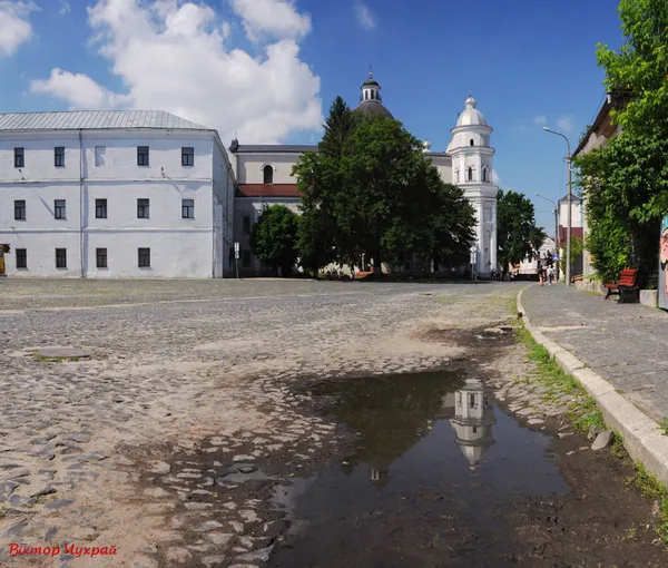 Троянди і голуби: спекотний червневий Луцьк в об'єктиві (фото)