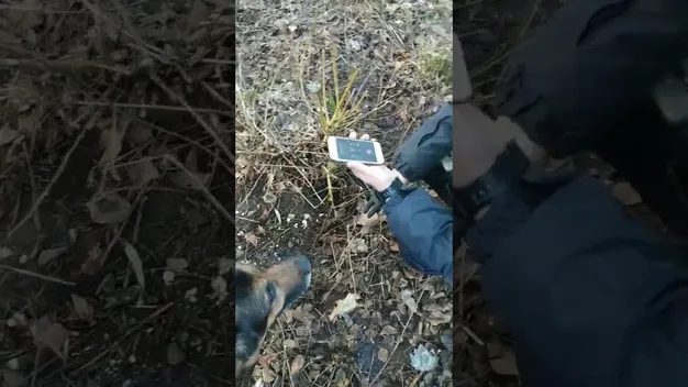 У Луцьку патрульні закладку з наркотиками викинули в канаву (відео)