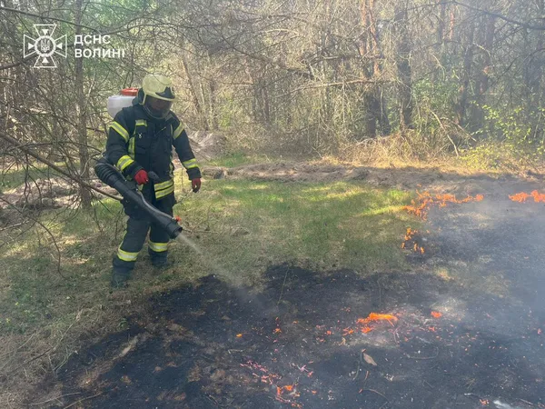 🔥Дим стояв до неба: за добу на Волині горіли поля, чагарники та торф’яники (фото)