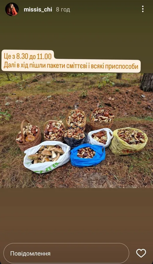 На головну муніципалку Луцька Юлію Чіпак «напали» гриби (фото)