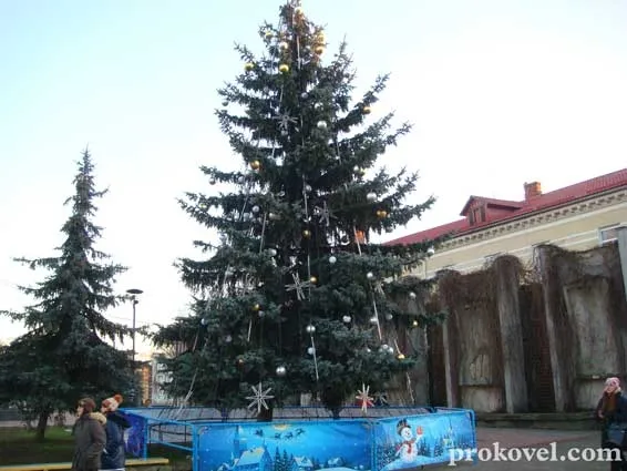 З головної ялинки Ковеля вкрали зірку за півтори тисячі гривень (фото)