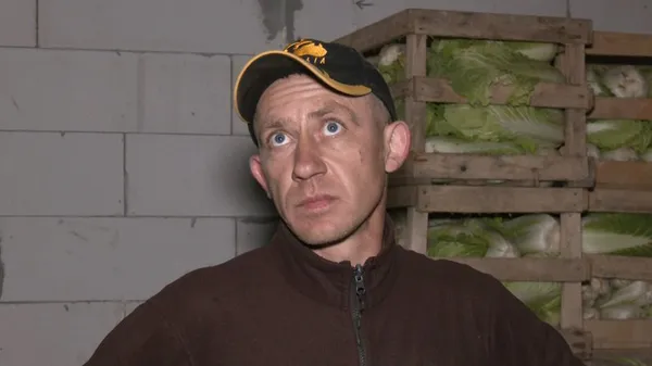 Закривають потребу цілого регіону: під Луцьком місцеві фермери вирощують «пекінку» (відео)