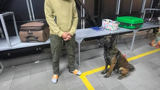 На Волині прикордонні собаки винюхали наркотики у поляка та українця