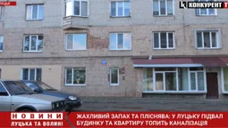Жахливий запах та пліснява: у Луцьку дощова вода топить квартири та підвал багатоповерхівки (відео)