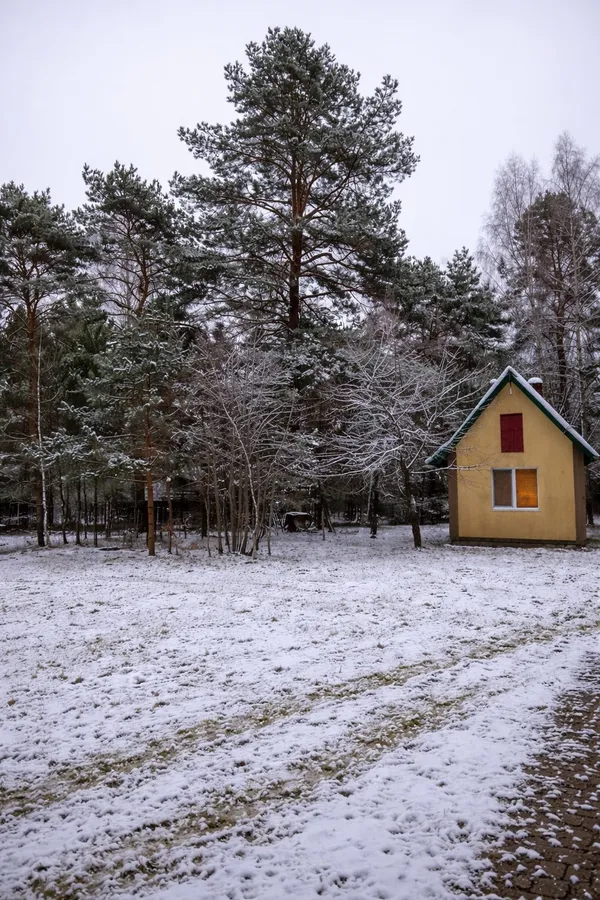 Будинки між дерев і вихід до води: за 40 кілометрів від Луцька продають базу відпочинку (фото)