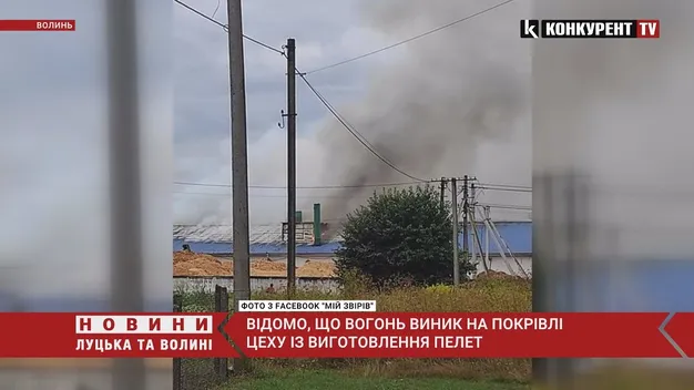Неподалік Луцька – пожежа: працюють 4 рятувальні авто (відео)