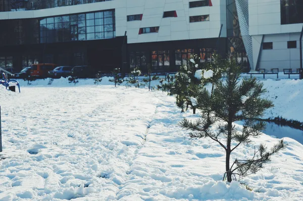 Зимовий «CityPark»: експозиція, місток та голуби (фото)