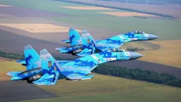 Як українські військові пілоти приголомшили глядачів на авіашоу (відео)